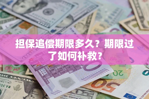 北京担保追偿期限多久？期限过了如何补救？